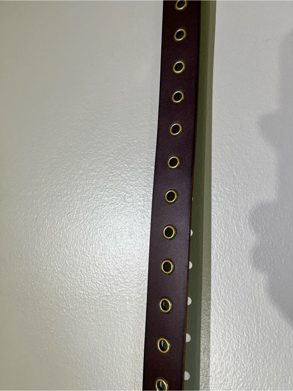Frye brand new
